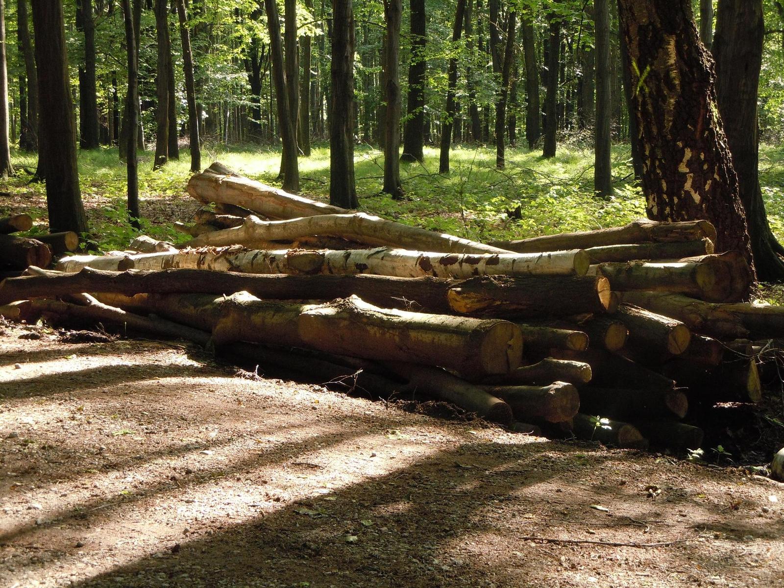 Nikon Coolpix S8000: stabilní dravec