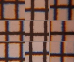 Canon EOS 550D: třídní premiant