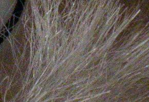 Sony SLT-A58: silný základ