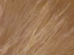 Canon IXUS 220 HS: multifunkční Karkulka