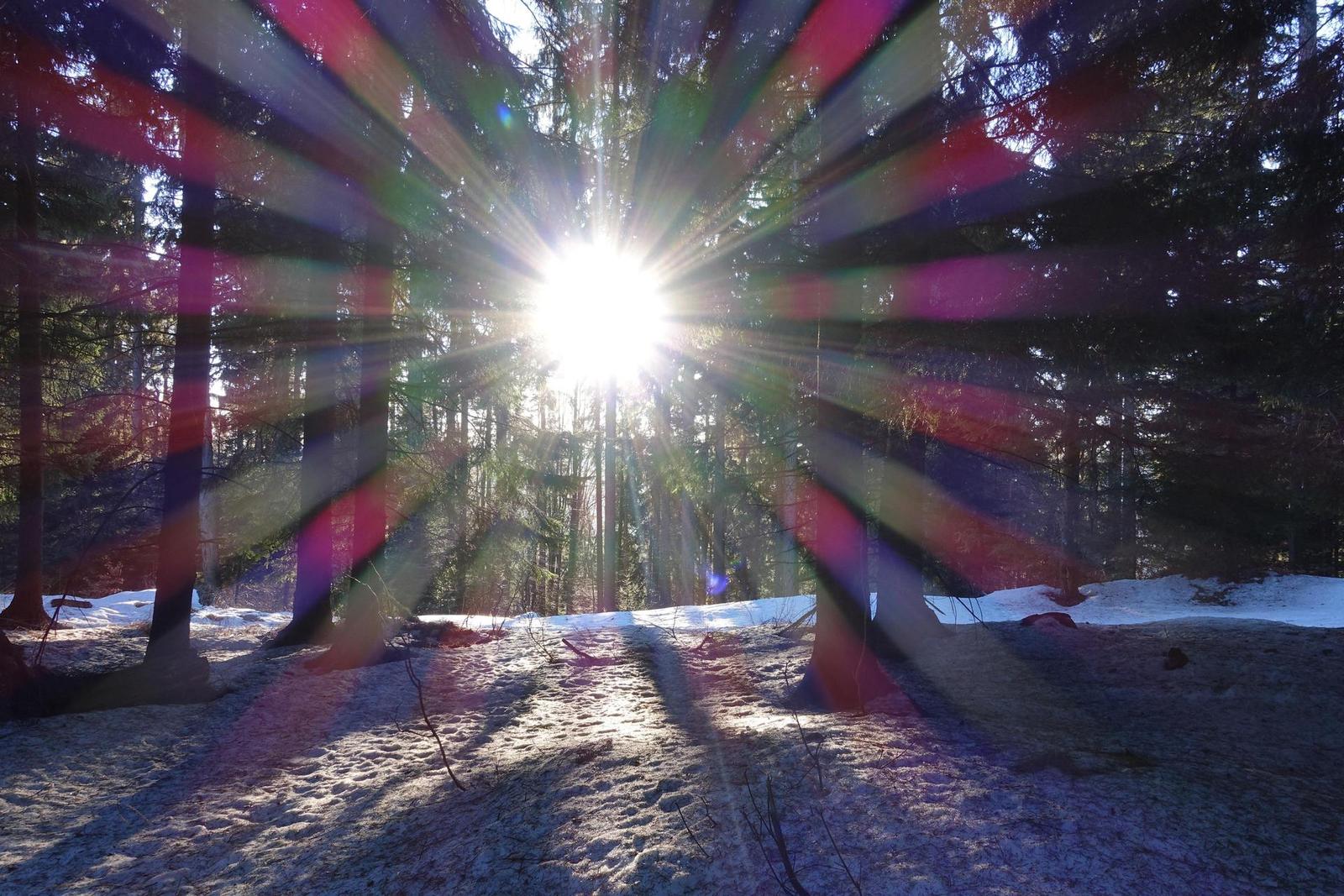 Sony Cyber-shot RX100 IV (RX100M4): zase o něco lepší