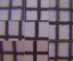 Canon PowerShot G11: géčko, o jakém jsme snili