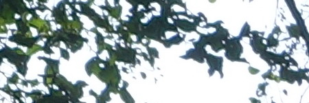 Sony Cyber-shot RX100 III (RX100M3): superSony