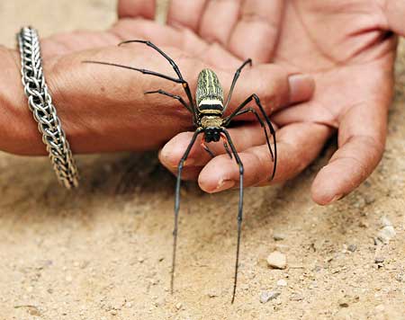 S fotoaparátem po Thajsku: I.