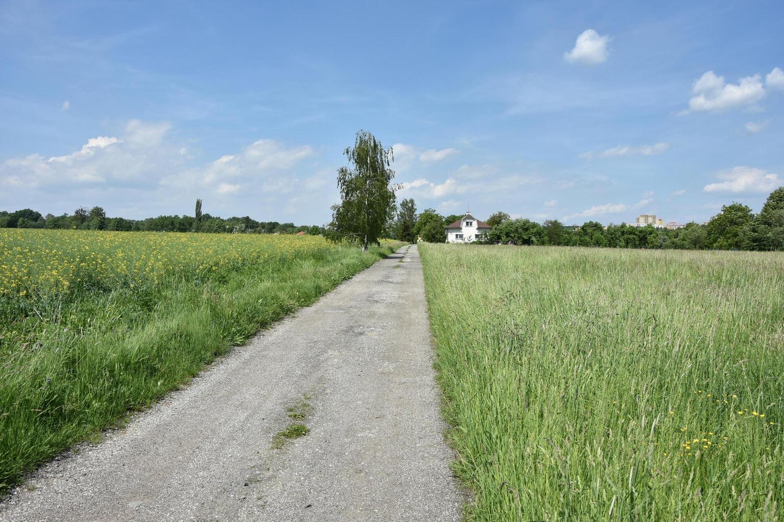 Nikon D7200: přesvědčivé zrcadlo