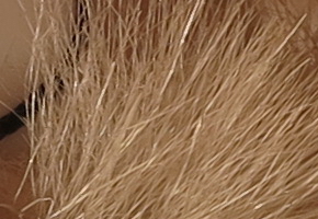 Canon PowerShot G1 X: vnitřní revoluce