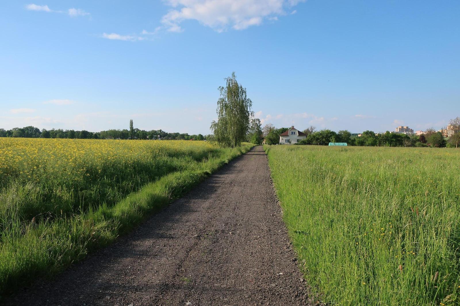 Canon PowerShot G9 X Mark II: kapesní borec