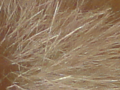 Sony Cyber-shot W570: jde to i s 16 megapixely