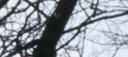 Nikon AF-S DX NIKKOR 16-85mm f/3.5-5.6G ED VR