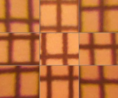 Fujifilm FinePix HS10: ultrazoom roku?