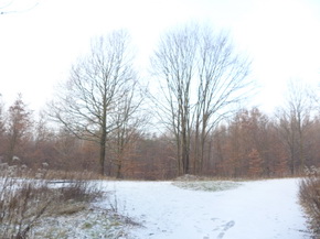 Panasonic Lumix LX7: kompaktní hvězda noci