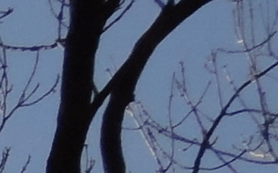 Sony Cyber-shot W570: jde to i s 16 megapixely