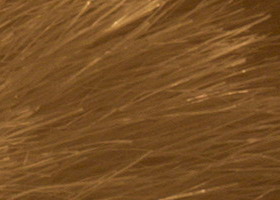 Sony Alpha SLT-A35: úspěšně proti zrcadlovkám