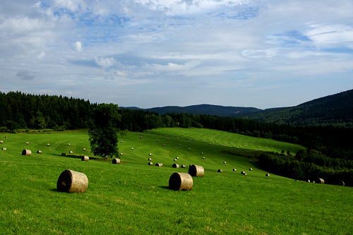 Zrcadlovka a já: Ať barvy Září
