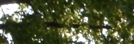 Tamron SP AF 10-24mm F3.5-4.5 Di II LD Aspherical IF