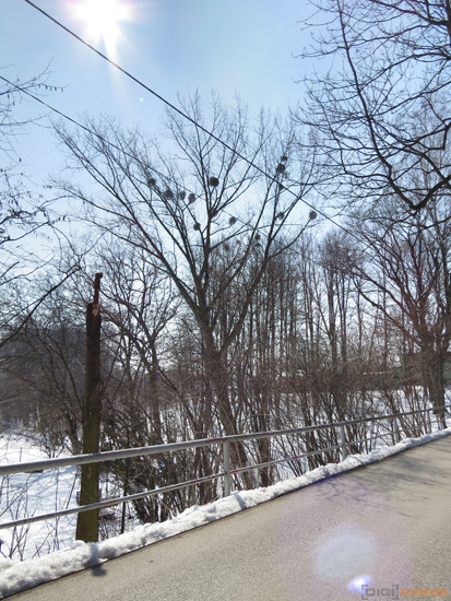 Canon PowerShot SX50 HS: překvapivá kombinace