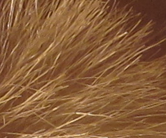 Canon IXUS 300 HS: superstylovka i pro náročné