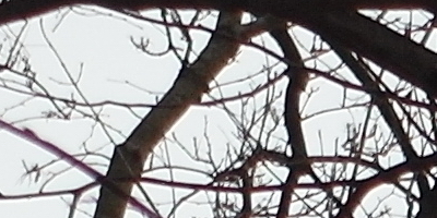 Samsung EX2F: významný krok vpřed