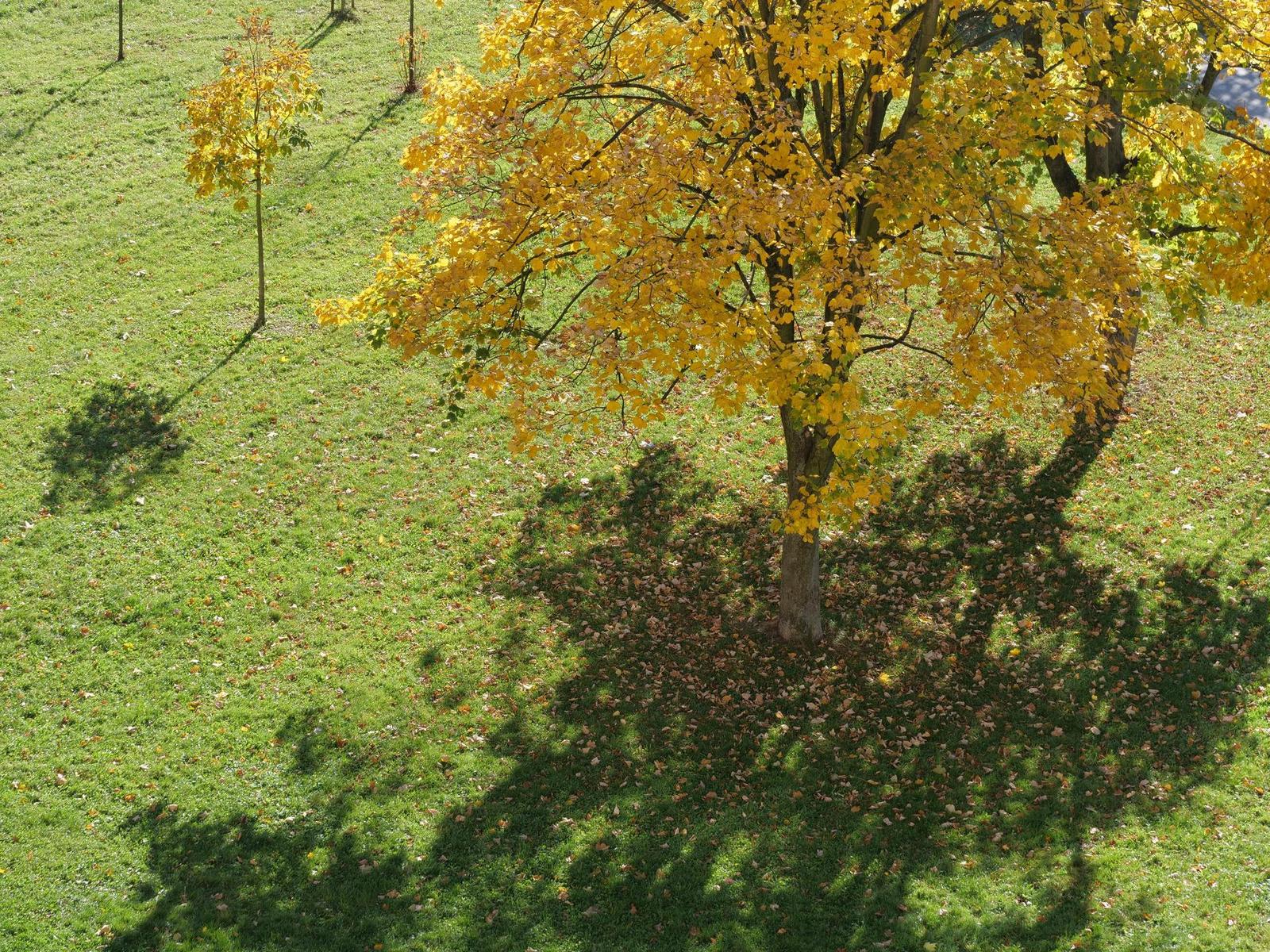 Panasonic Lumix GH5 II: nejen pro vloggery