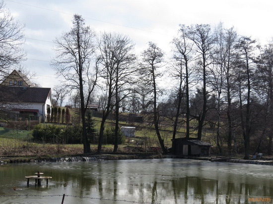 Canon PowerShot SX50 HS: překvapivá kombinace