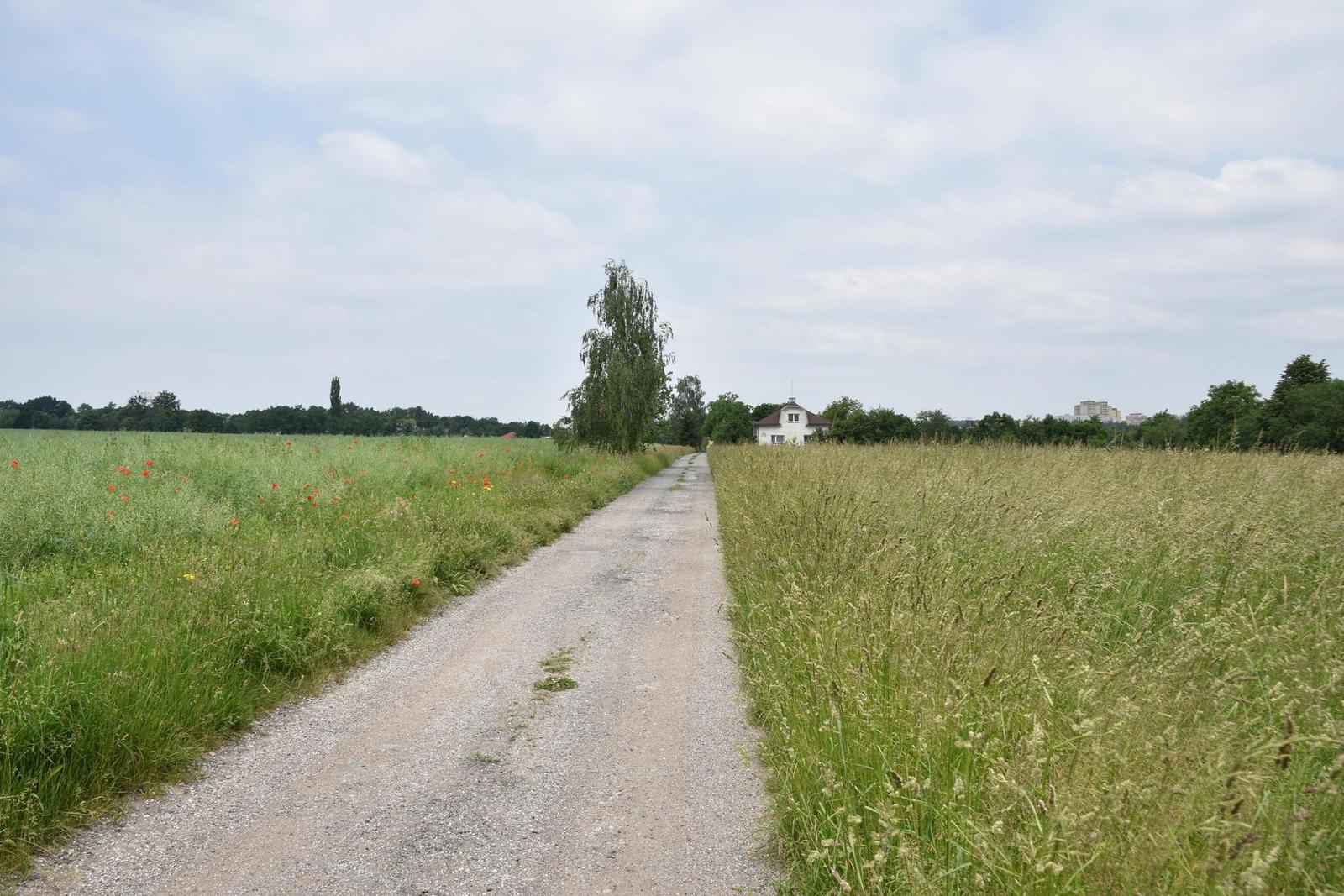 Nikon AF-S DX NIKKOR 18-300mm f/3.5-6.3G ED VR