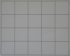 Nikon Coolpix L100: lovec hmyzu