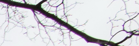 Canon PowerShot G1 X Mark II: významné zlepšení