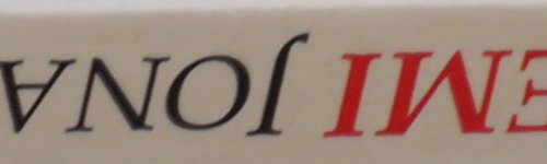 Panasonic Lumix G Vario 100-300mm F4-5,6