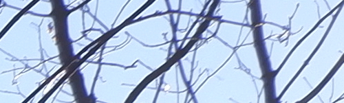 Fujinon XC 15-45mm 1:3.5-5.6 OIS PZ