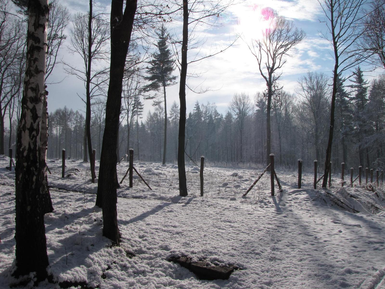 Canon PowerShot SX1 IS vs. SX10 IS: souboj CMOS a CCD