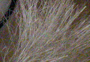 Sony SLT-A58: silný základ