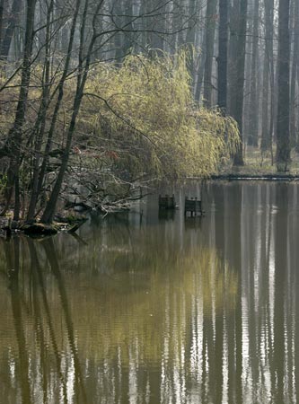 Úpravy fotografií v PC, 6.díl - jas