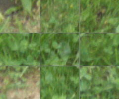 Panasonic Lumix G Vario 100-300mm F4-5,6