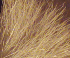 Samsung WB2000: stylová bomba