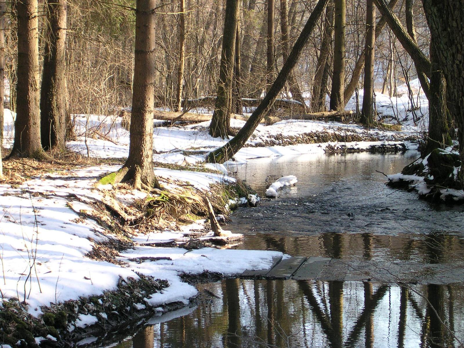 Nikon Coolpix 3500: Krasavec k pohledání!