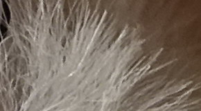 Sony Cyber-shot RX100 III (RX100M3): superSony