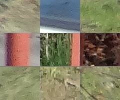 Sony Cyber-shot HX20V: umí snad všechno