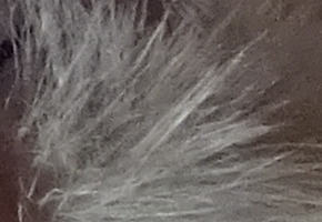 Sony Cyber-shot WX220: ostře nabitý drobek