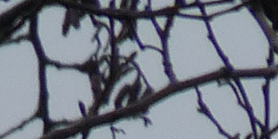 Panasonic Lumix FZ200: ultrazoomové překvapení roku