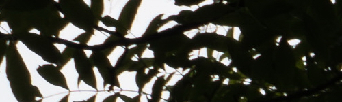 Panasonic Lumix S Pro 70-200mm F4 O.I.S.