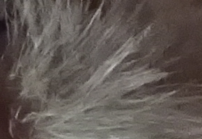 Sony Cyber-shot WX220: ostře nabitý drobek