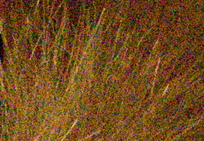 Nikon D5300: bezdrátový DSLR turista