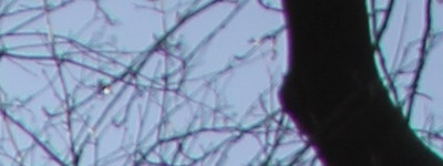 Megatest ultrazoomových objektivů