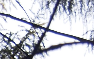 Olympus M.Zuiko Digital 14-150 mm F4-5,6