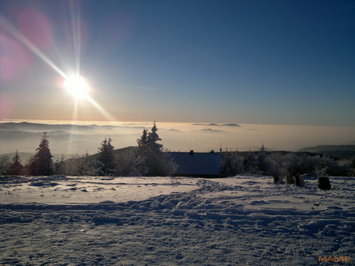 Nokia N8: lepší než kompakt?