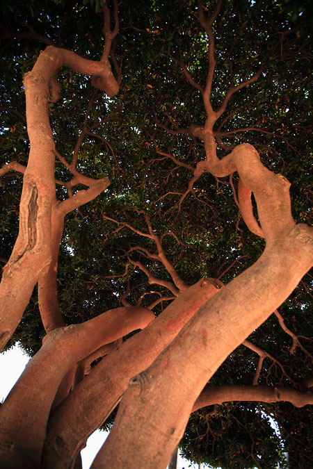 Hyperfokální ostření na příkladech z Algarve: III.