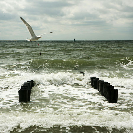 S fotoaparátem po Holandsku: II.