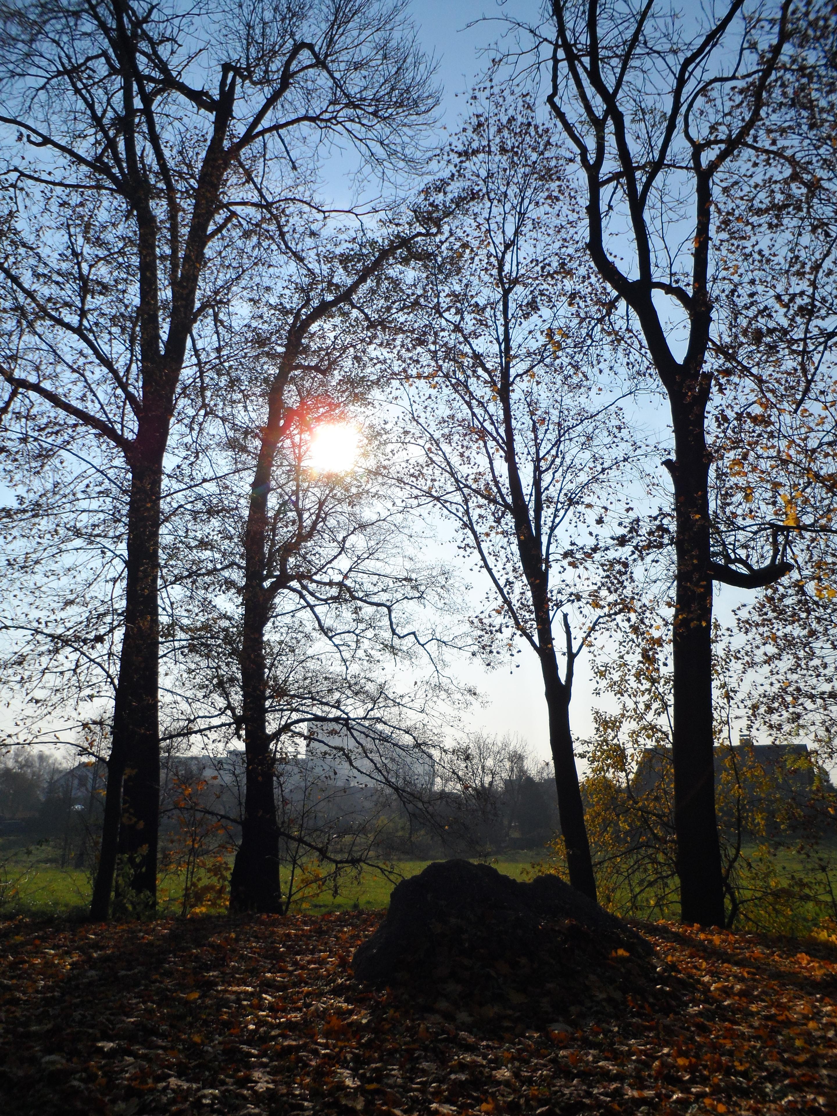 Samsung MV800: pro každý úhel i autoportréty