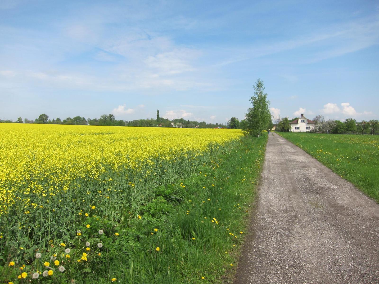 Canon PowerShot S90: malý zázrak