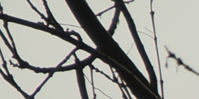 Sony SAL-70400G (70-400mm F4-5,6 SSM G)